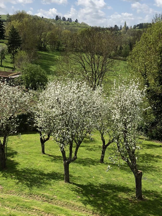 A L'Aube Des Volcans Charbonnières-les-Vieilles Exterior foto